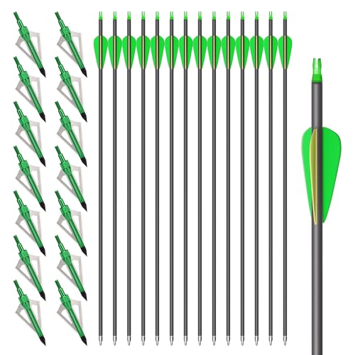 NorthSpoor NorthSpoor 14-pcs 30-Inch Carbon Arrows,with 100-Grain Hunt — Side-by-side comparison of top picks in this category