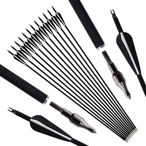 Luoyer Luoyer 12Pcs Archery Hunting Arrows for Compound Bow Recurve Bo — Build quality and design details up close