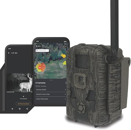 How to Pattern a Whitetail Buck for Archery Season: The Field-Tested Blueprint That Actually Fills Tags